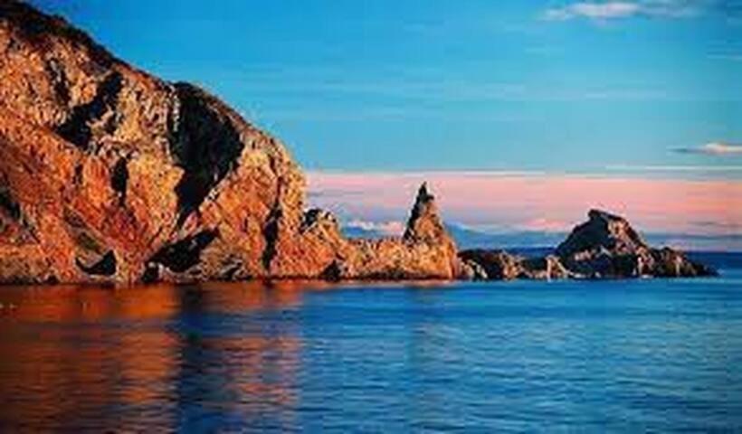 Halekulani Devon Homestay Torquay Εξωτερικό φωτογραφία