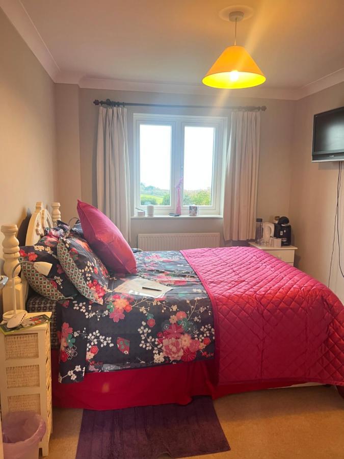 Halekulani Devon Homestay Torquay Εξωτερικό φωτογραφία